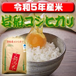 画像1: 〈工場直売〉新潟県岩船産コシヒカリ 玄米30kg（送料無料）