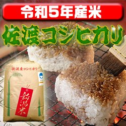 画像1: 〈工場直売〉新潟県佐渡産コシヒカリ 玄米30kg（送料無料）