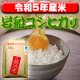 〈工場直売〉新潟県岩船産コシヒカリ 玄米20kg