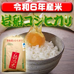 画像1: 〈工場直売〉新潟県岩船産コシヒカリ 玄米20kg