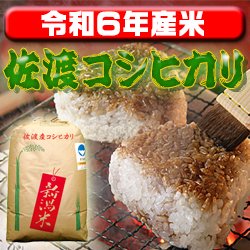 画像1: 〈工場直売〉新潟県佐渡産コシヒカリ 玄米30kg（送料無料）