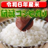 〈工場直売〉新潟県産コシヒカリ 玄米30kg（送料無料）