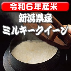 画像1: 〈工場直売〉新潟県産ミルキークイーン 玄米30kg（送料無料）