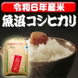 画像: 〈工場直売〉新潟県南魚沼産コシヒカリ 玄米30kg（送料無料）