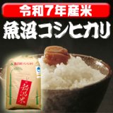 画像: 〈工場直売〉新潟県南魚沼産コシヒカリ 玄米30kg（送料無料）