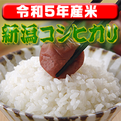 画像1: 〈工場直売〉新潟県産コシヒカリ 玄米30kg（送料無料）