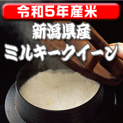画像1: 〈工場直売〉新潟県産ミルキークイーン 玄米30kg（送料無料）