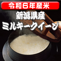 画像1: 〈工場直売〉新潟県産ミルキークイーン 玄米20kg